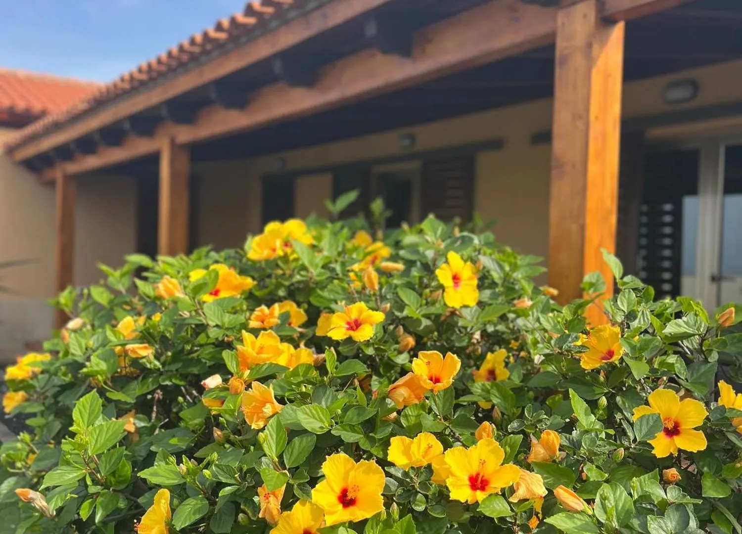 Casa Punta Del Viento Tenerife El Pris