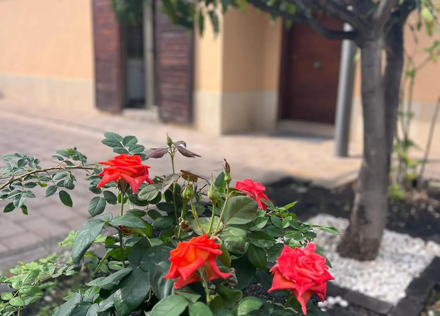 Вилла Casa Punta Del Viento Tenerife El Pris